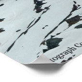 Rainier P7108 Poster (Hoek)