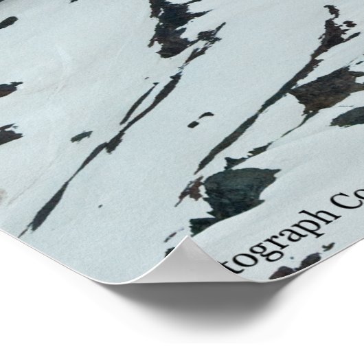 Rainier P7108 Poster (Hoek)