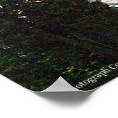 Rainier P7350 Poster (Hoek)