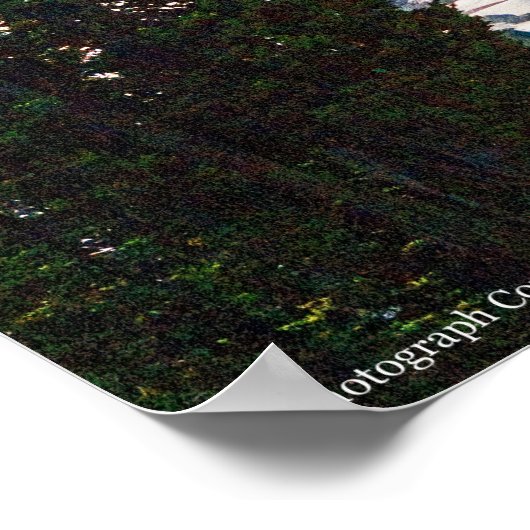 Rainier P7350 Poster (Hoek)