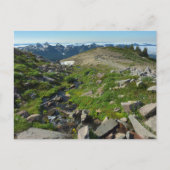 Rainier Panorama Point Briefkaart (Voorkant)