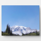 Rainier PDSC213 Fotoplaat (Voorkant)
