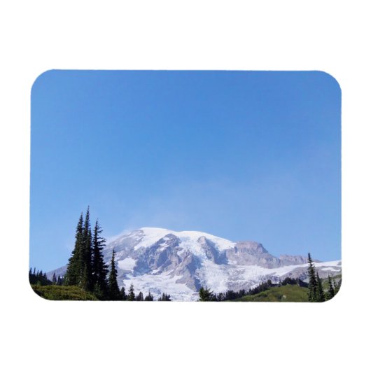 Rainier PDSC213 Magneet (Horizontaal)
