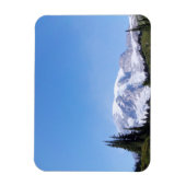 Rainier PDSC213 Magneet (Verticaal)
