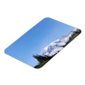 Rainier PDSC213 Magneet (Linkerzijde)