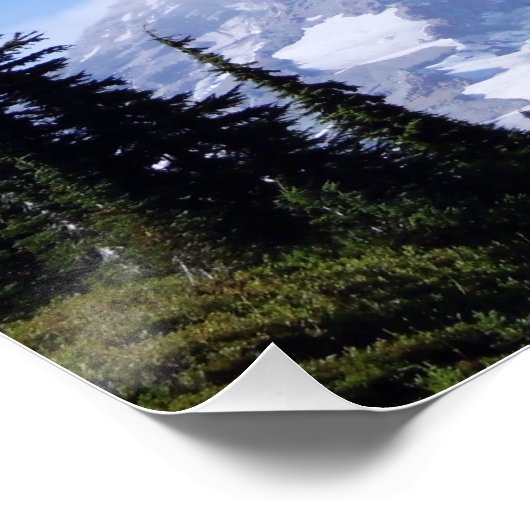 Rainier PDSC213 Poster (Hoek)