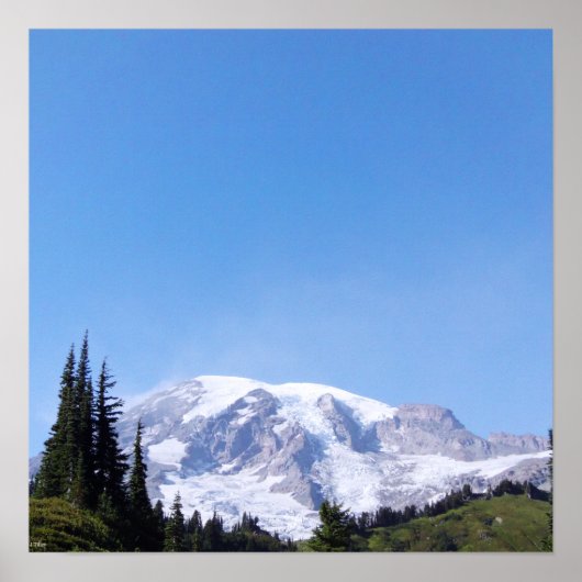 Rainier PDSC213 Poster (Voorkant)