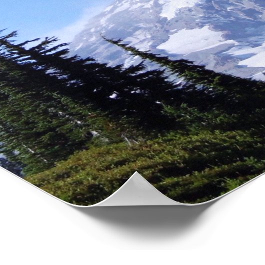 Rainier PDSC213 Poster (Hoek)