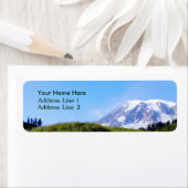 Rainier PDSC230 Etiket (Insitu)