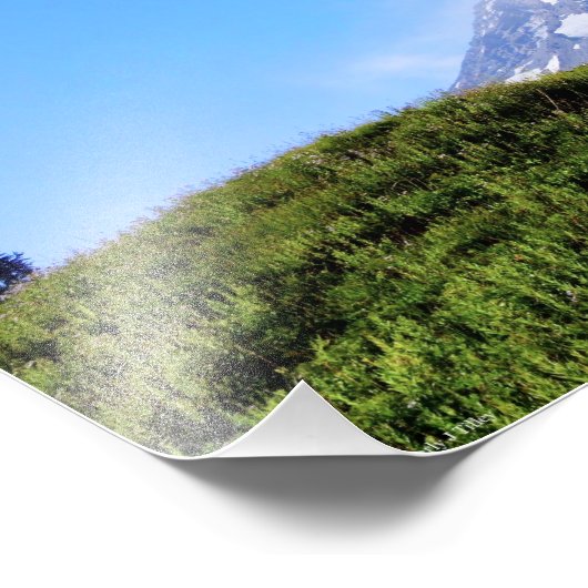 Rainier PDSC230 Foto Afdruk (Hoek)