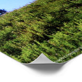 Rainier PDSC230 Poster (Hoek)