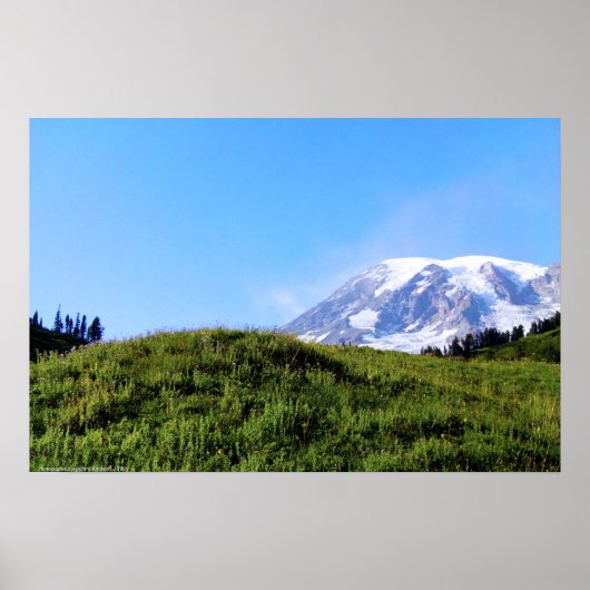 Rainier PDSC230 Poster (Voorkant)