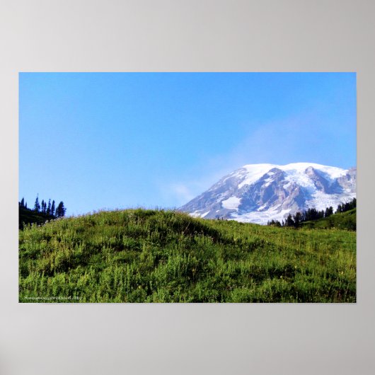 Rainier PDSC230 Poster (Voorkant)