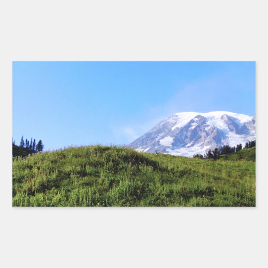 Rainier PDSC230 Rechthoekige Sticker (Voorkant)
