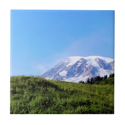 Rainier PDSC230 Tegeltje (Voorkant)