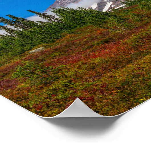 Rainier-Poster Poster (Hoek)