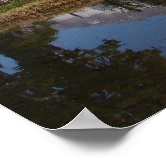 Rainierreflectie in het meer monteren poster (Hoek)