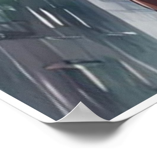 Raining Cats and Dogs Poster (Hoek)