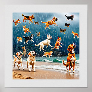 Raining Cats and Dogs Poster