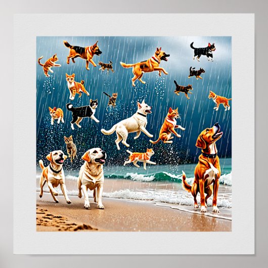 Raining Cats and Dogs Poster (Voorkant)
