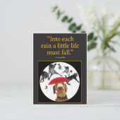 Raining Cats! Briefkaart (Staand voorkant)