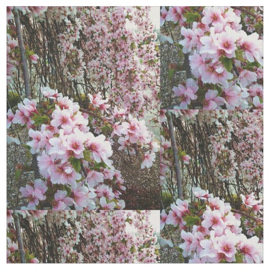 RAINING PINK PETALS STOF (Close Up)