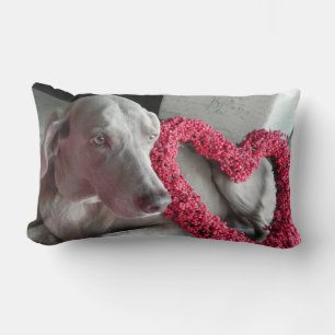 Rain's Love - Weimaraner Dog Pic - Pillow Kussen