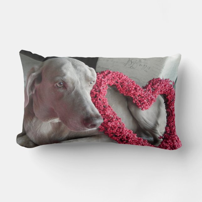 Rain's Love - Weimaraner Dog Pic - Pillow Kussen (Voorkant)