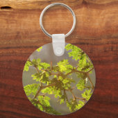 Raintree Branches Bonsai Foto Sleutelhanger (Voorkant)