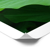 Rainwater op een Lotus Leaf: Japan Poster (Hoek)