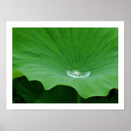 Rainwater op een Lotus Leaf: Japan Poster