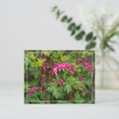 Rainy Day Bleeding Heart Briefkaart (Staand voorkant)