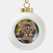 Rainy Day Cat Photo  Keramische Bal Ornament (Voorkant)