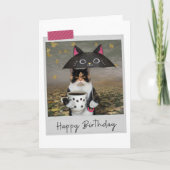 Rainy Day Coffee Calico Cat Funny Birthday Card Kaart (Voorkant)