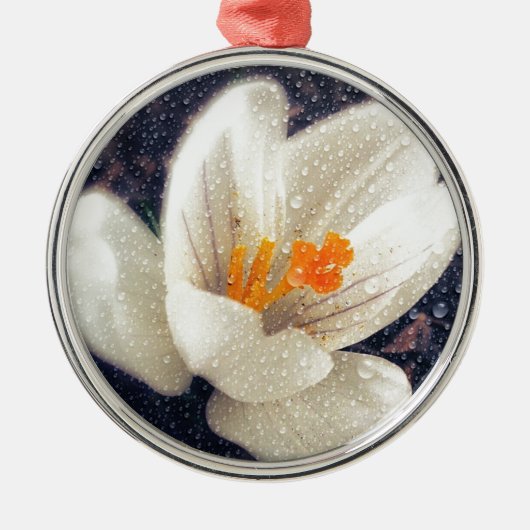 Rainy Day Crocus Flower Metalen Ornament (Voorkant)
