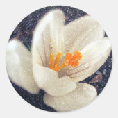 Rainy Day Crocus Ronde Sticker (Voorkant)