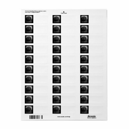 Rainy Day Etiket (Full Sheet)