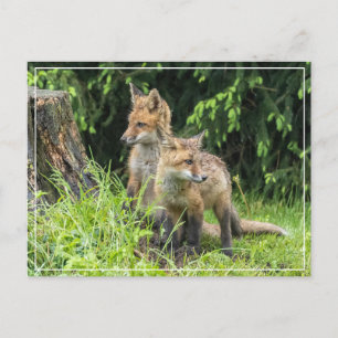 Rainy Day Friends Briefkaart