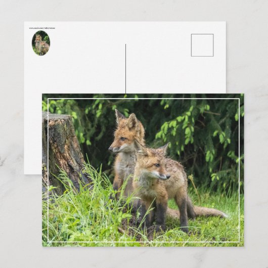 Rainy Day Friends Briefkaart (Voorkant / Achterkant)