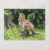 Rainy Day Friends Briefkaart (Voorkant)