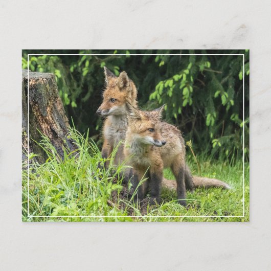 Rainy Day Friends Briefkaart (Voorkant)