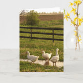 Rainy Day Geese Kaart (Gele Bloem)