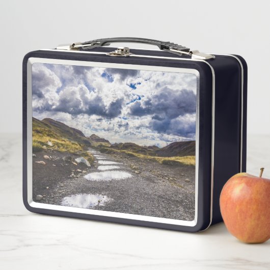 Rainy Day in Torres del Paine NP (In situ)