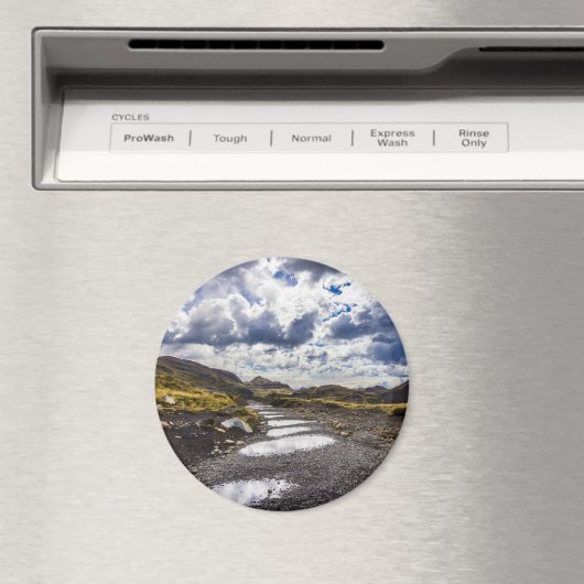 Rainy Day in Torres del Paine NP Magneet (Insitu (Vaatwasser))