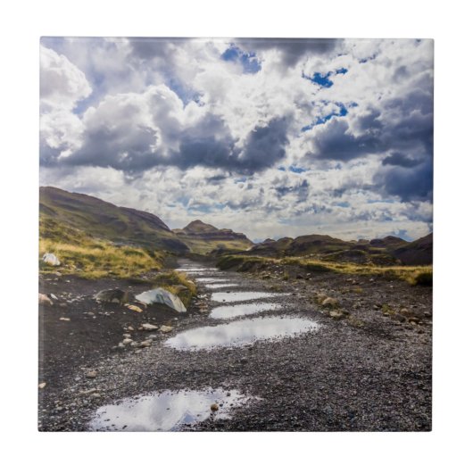 Rainy Day in Torres del Paine NP Tegeltje (Voorkant)