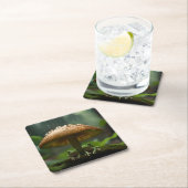 Rainy Day Refuge: Kikkers schuilen onder paddensto Kartonnen Onderzetters (Insitu)