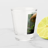 Rainy Day Refuge: Kikkers schuilen onder paddensto Shot Glas (Links)