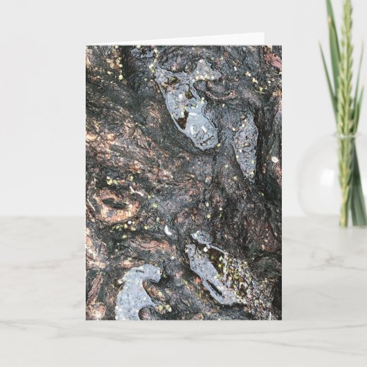 Rainy Day Tree Roots Puddle Natuur Fotografie Kaart (Voorkant)