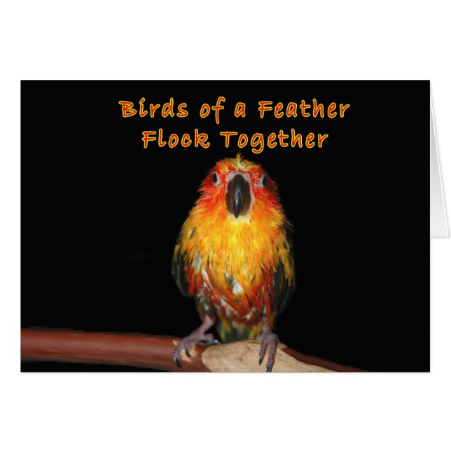 Rainy Days (Voorkant Horizontaal)