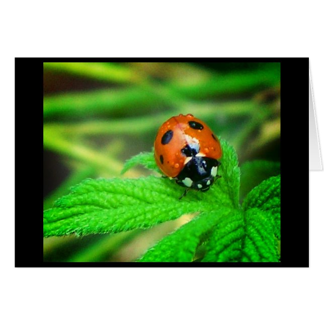 Rainy days (Voorkant Horizontaal)